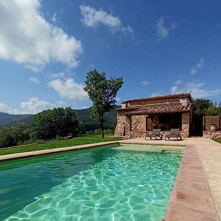 Can Nofre - Masia Familiar En Zona Tranquila Amer Luaran gambar